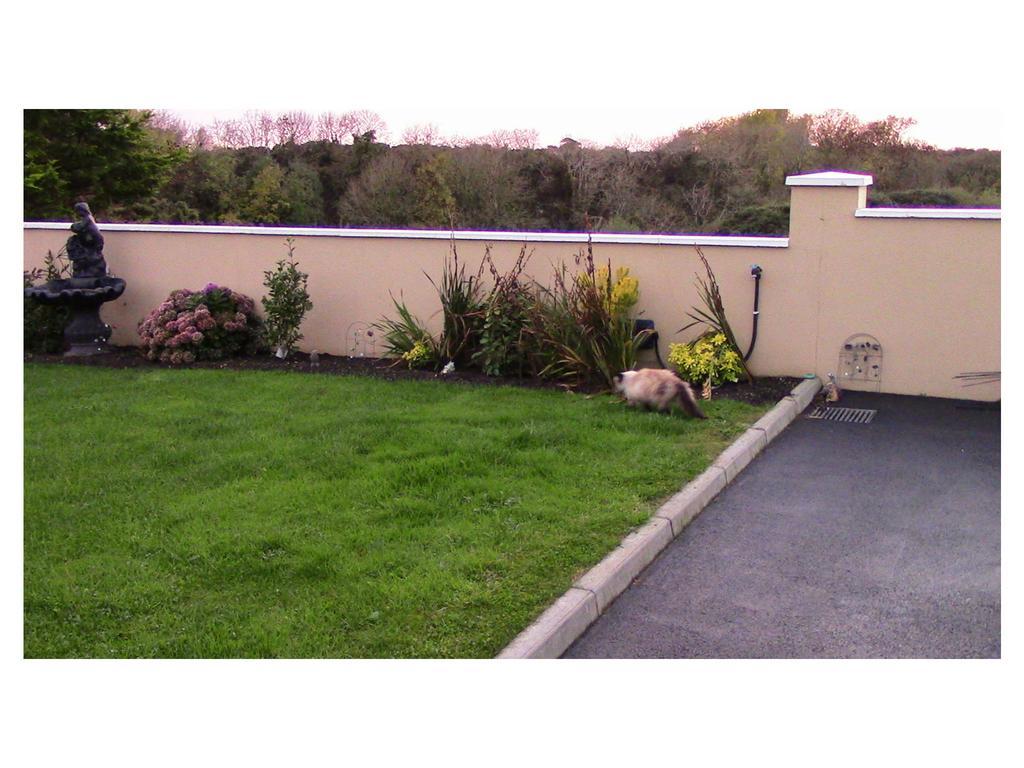 Ambrose Mews B&B Duncormick Exterior foto